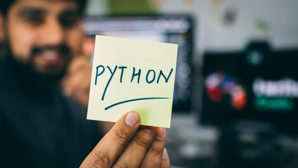 Software engineering services — Webizona