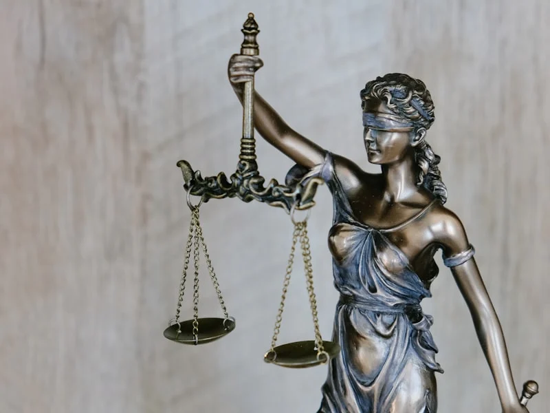 Legal software development — Webizona